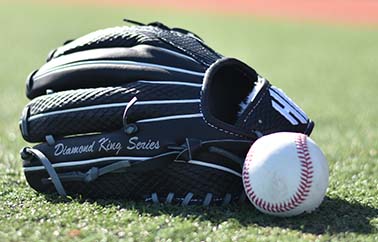 new glove black leather snake skin diamond king baseball softball 