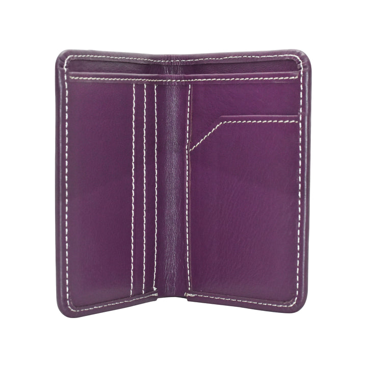 2023 DK Wallet Collection - Diamond King | Hot Hitter - Baseball Shop